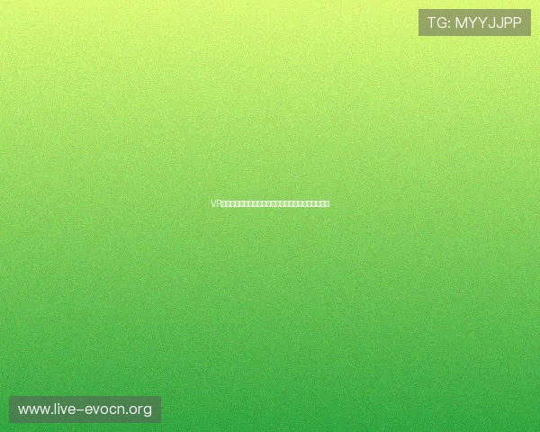 VR真人游戏推荐助你沉浸式体验世界杯精彩赛事全景报道 VR真人游戏推荐助你沉浸式体验世界杯精彩赛事全景报道
